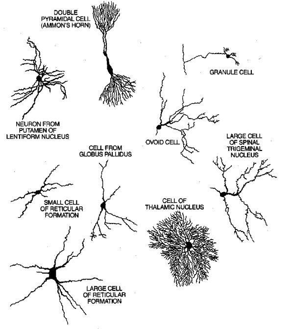 Introduction To Neural Networks